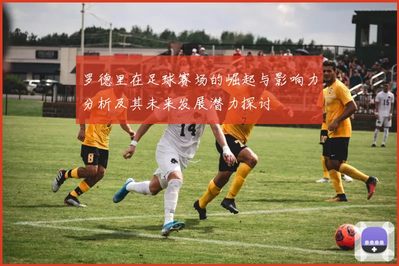 罗德里在足球赛场的崛起与影响力分析及其未来发展潜力探讨